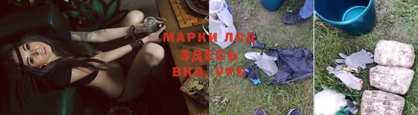 винт Алзамай