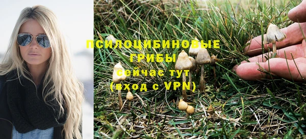 винт Алзамай