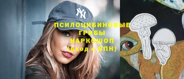амф Алексин